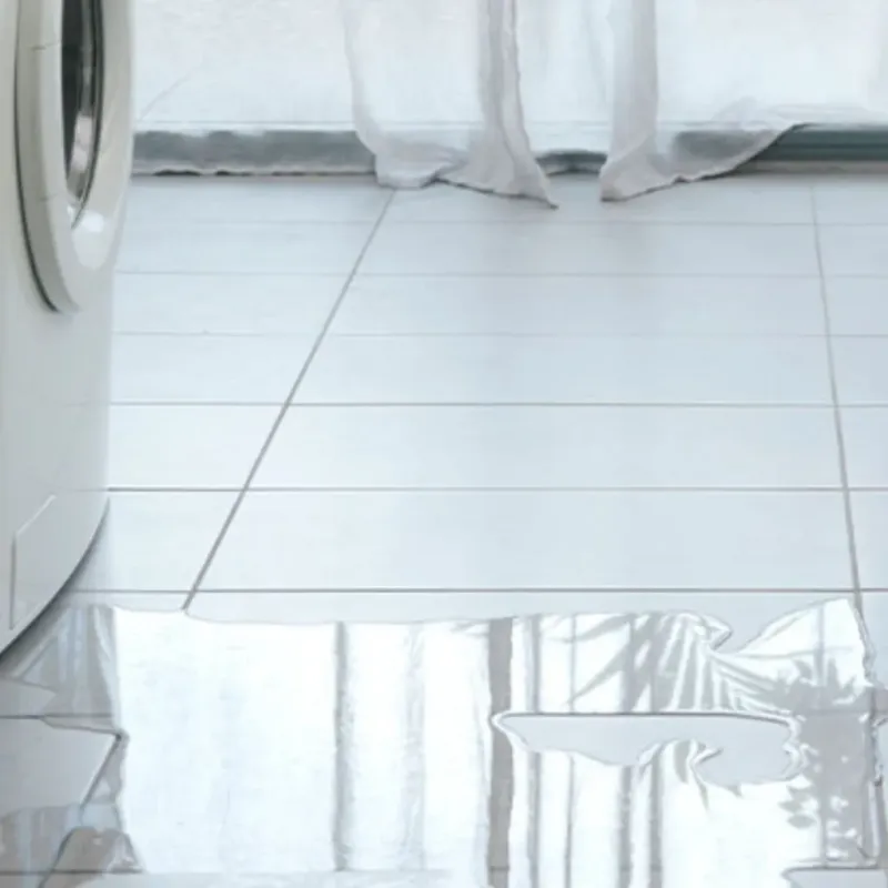 Appliance Leak Cleanup in Jensen Beach, FL