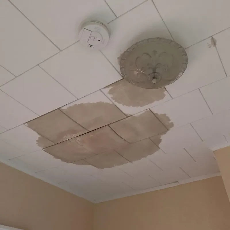 Ceiling Water Damage Repair in Jensen Beach, FL